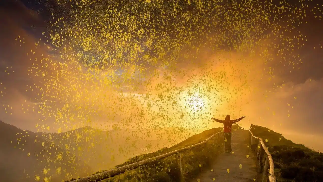 Losgehen verändert alles