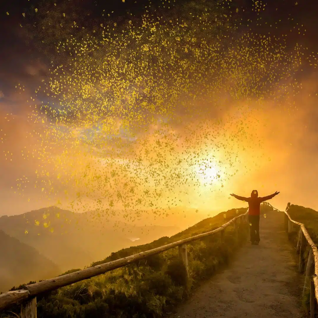 Integration Journey mit Leonore Anton